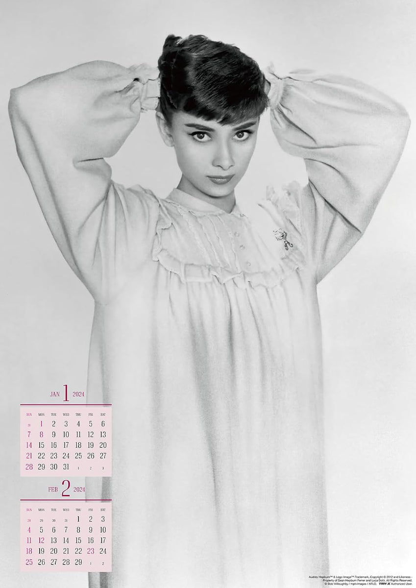 Try-X 2024 Wall Calendar Audrey Hepburn CL-341 B2 – Japanese Book 