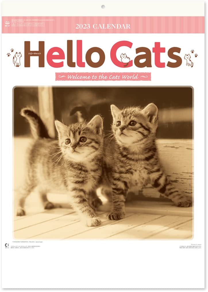 Cats Wall Calendar 2023