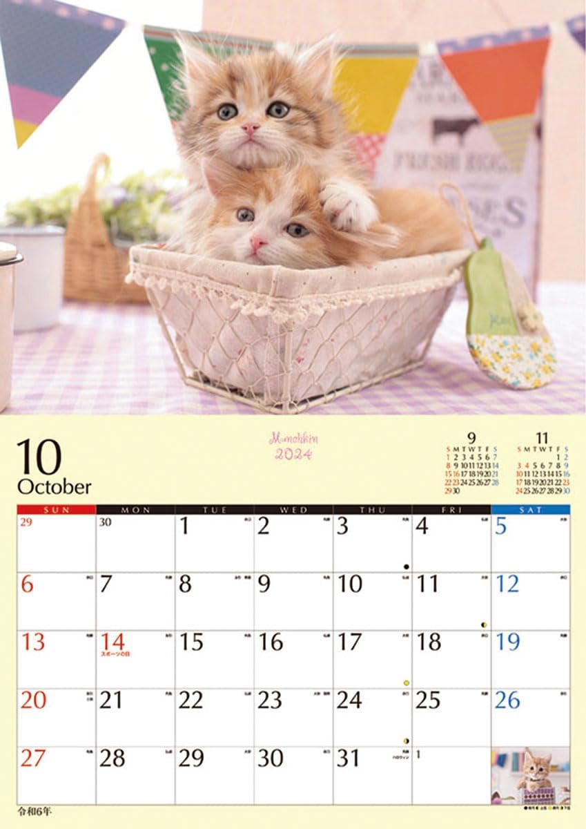 TryX 2024 Wall Calendar Kitten Munchkin CL382 51x36cm Japanese Book