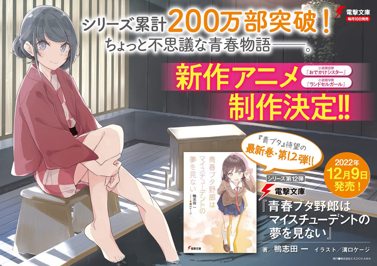 Seishun Buta Yarou wa Santa Claus no Yume wo Minai – Japanese Book Store