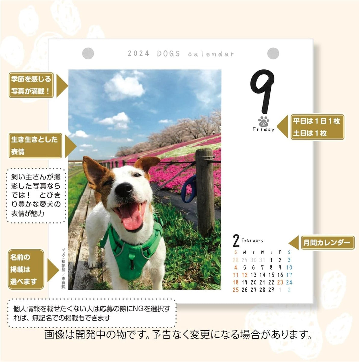 CO2 Dogs 2024 PageADay Calendar CKD2401 Japanese Book Store