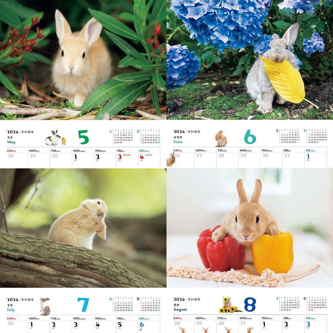 JTB Calendar Fuwa Fuwa Usagi 2024 Wall Calendar Japanese Book Store