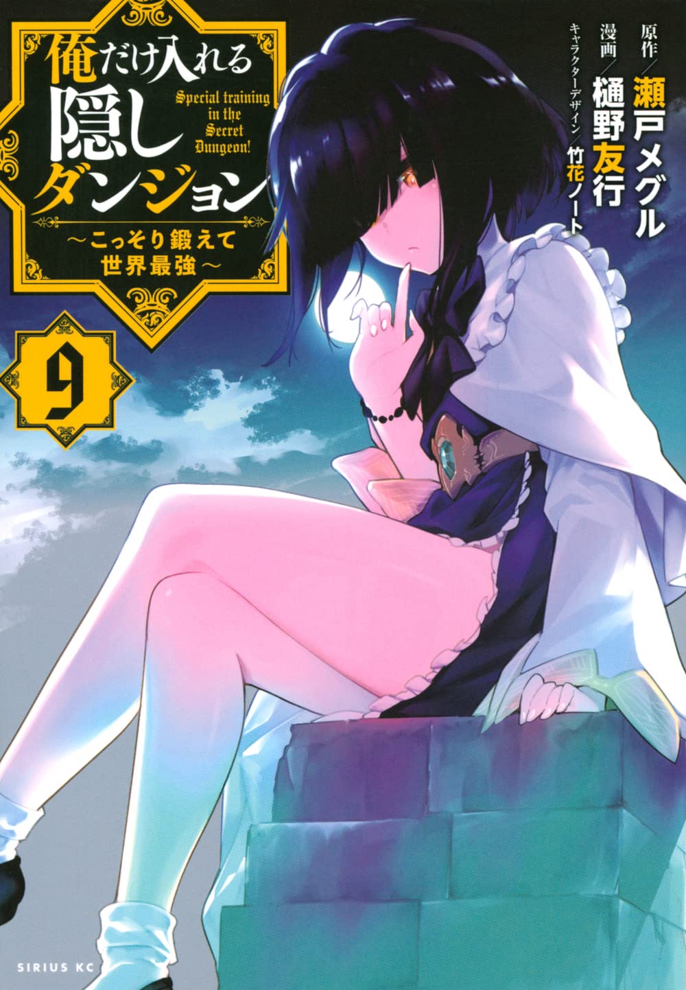 The Hidden Dungeon Only I Can Enter (Ore dake Haireru Kakushi Dungeon) 9 –  Japanese Book Store