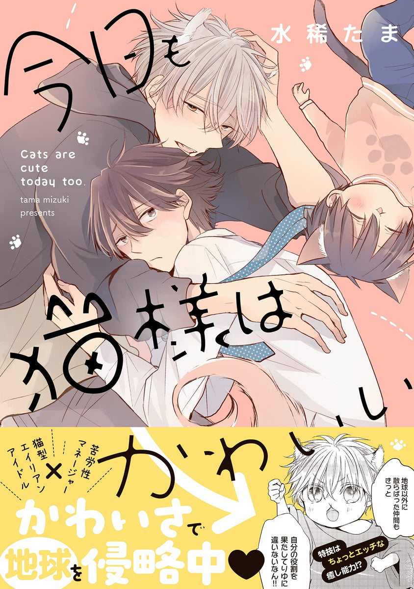 Kyou mo Neko-sama wa Kawaii – Japanese Book Store