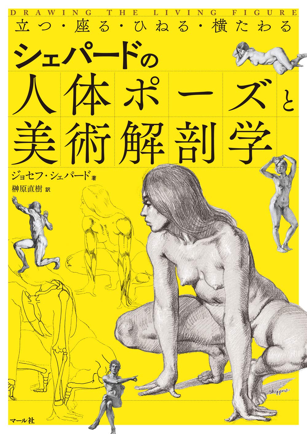 Drawing the Living Figure (Japanese Edition) – Japanese Book Store