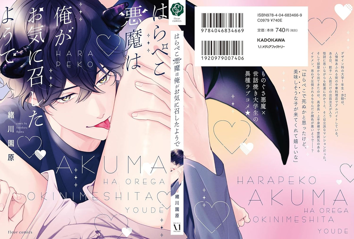 Harapeko Akuma wa Ore ga Okini meshita Youde – Japanese Book Store