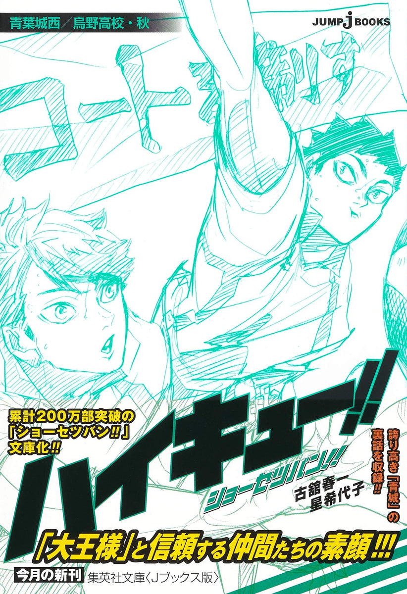 Haikyu Novel Version Aoba Johsai Karasuno High Autumn Japanese Book Store