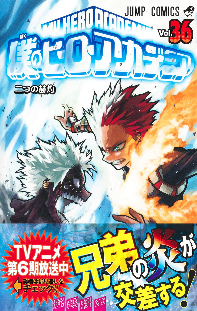 My Hero Academia Manga Volume 6