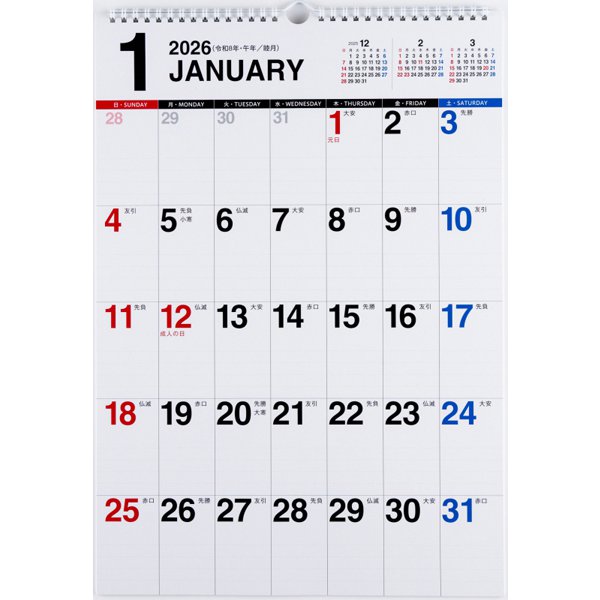 Eco Wall Calendar 2026 A3 E13