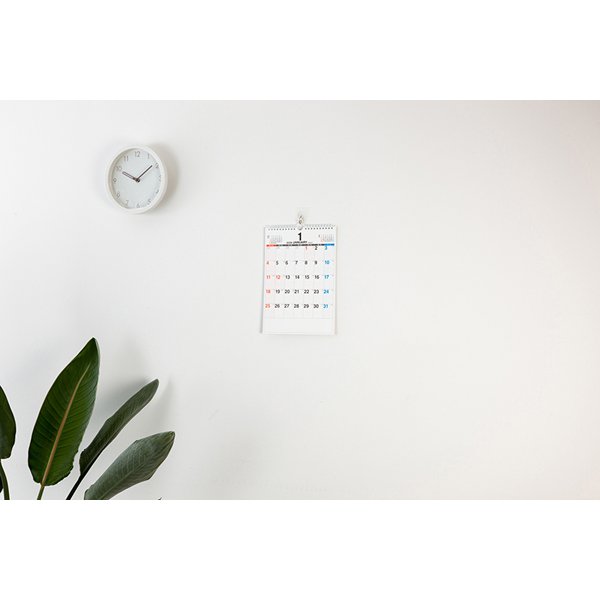 Eco Wall Calendar 2026 A4 E63