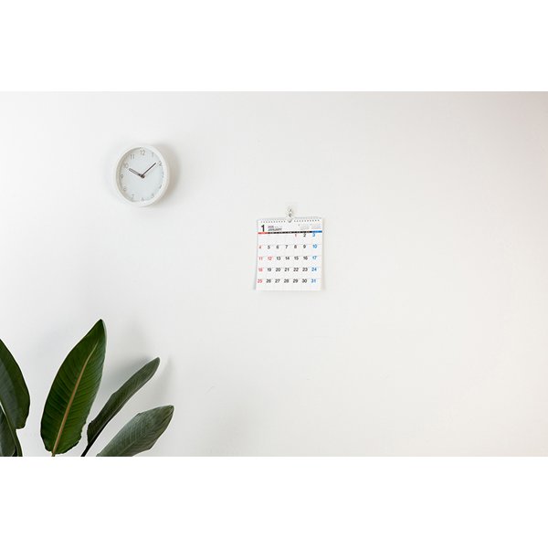 Eco Wall Calendar 2026 Modified A4 E66