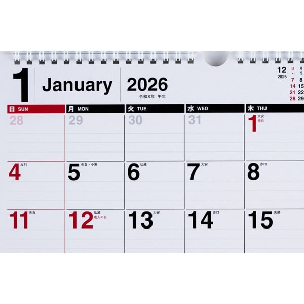 Eco Wall Calendar 2026 A4 E61