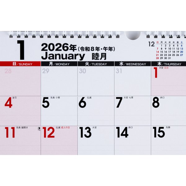 Eco Wall Calendar 2026 A4 E62