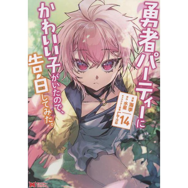 Yuusha Party ni Kawaii Ko ga Ita no de, Kokuhaku Shitemita. 14
