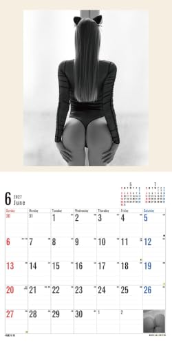 Try-X 2027 Wall Calendar Bottoms 27CL-1701 60x30cm