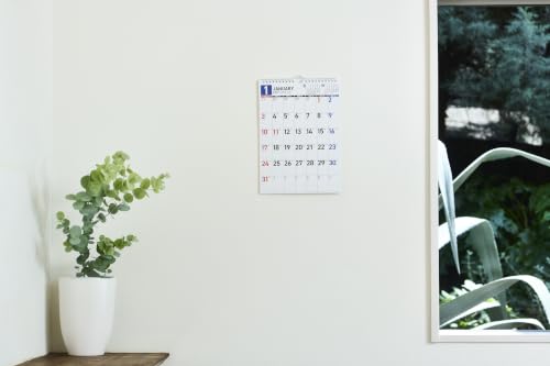 Greeting Life 2027 Desk Calendar House Box Barbapapa C-1814-BB