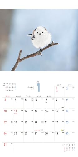Manmaru Kawaii Snow Fairy Shimaenaga-chan CALENDAR 2027 (Impress Calendar 2027)