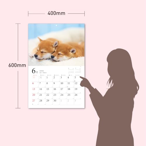Adorable Dogs of Japan Calendar 2027 (Montly/Wall Calendar/Large)