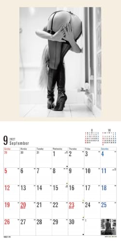Try-X 2027 Wall Calendar Bottoms 27CL-1701 60x30cm