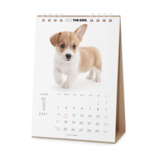 THE DOG 2027 Wall Calendar Mini Size [Maltese]