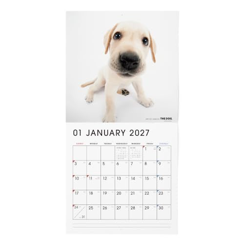 Eco Wall & Desk Calendar 2027 Modifed B5 E95