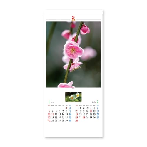 New Japan Calendar 2027 Wall Calendar Flower Scene The Beautiful Flowers of Nature NK494