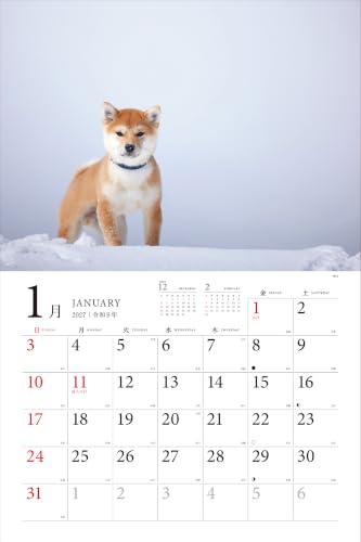 Adorable Dogs of Japan Calendar 2027 (Montly/Wall Calendar/Large)