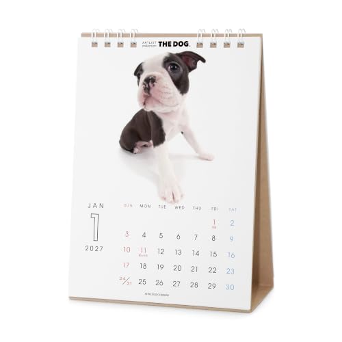 THE DOG 2027 Desk Calendar [Boston Terrier]