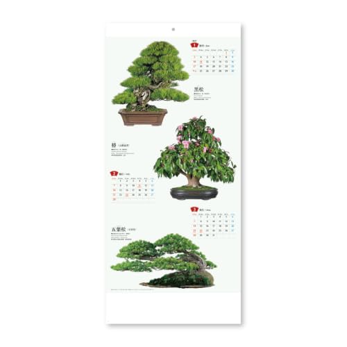 New Japan Calendar 2027 Wall Calendar Bonsai Calendar NK152 770x350mm