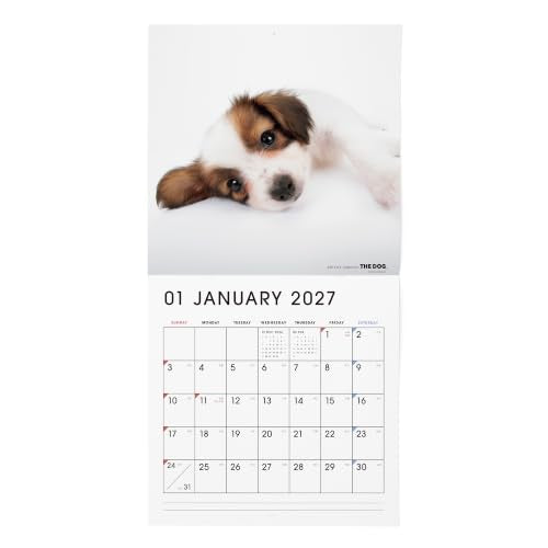 New Japan Calendar 2027 Desk Calendar Andy The Mouse Desk Calendar NK4220