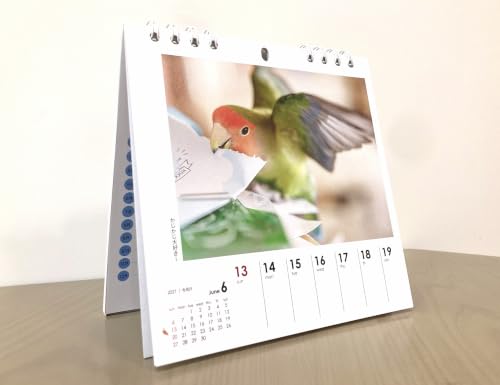 Yama-kei Calendar 2027 Parakeet Days (Weekly Calendar / Desk / Ring)
