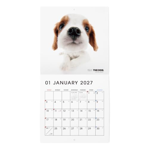 THE DOG 2027 Wall Calendar Mini Size [Cavalier King Charles Spaniel]