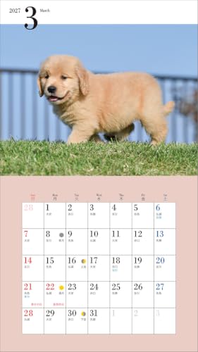 2027 Adorable Golden Retriever Calendar (Seibundo-shinkosha Calendar)