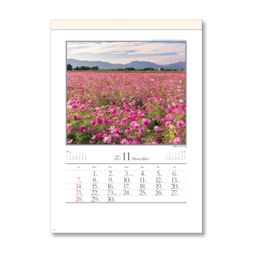 Takahashi 2027 Desk Calendar B6 E159