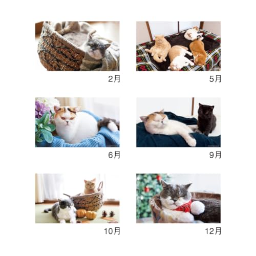 Eco Wall Calendar 2027 B4 (Monday Start) E72