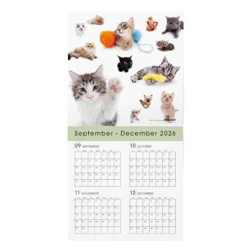 THE CAT 2027 Wall Calendar Large Size [All Stars]