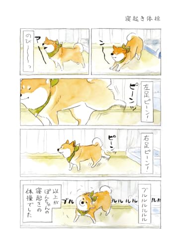 Shiba Inu Pon-chan, Kyou mo Waga Michi wo Iku 3