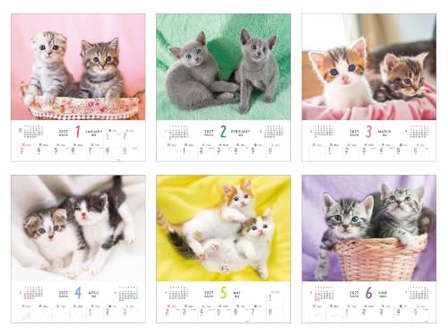 King Corporation 2027 Desk Calendar Fine Desk 160 x 180mm KC10004
