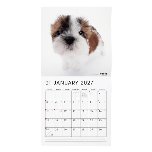 THE DOG 2027 Wall Calendar Large Size [Shih Tzu]