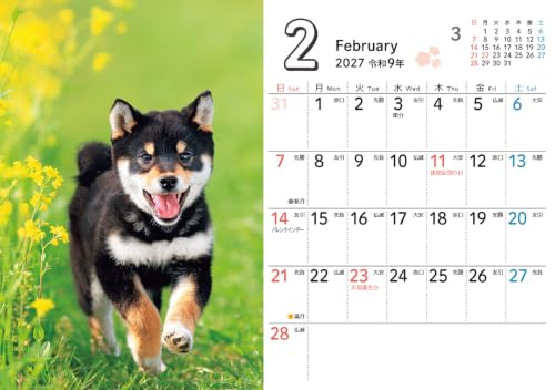 Nonbiri Shima Nyan CALENDAR 2027 (Monthly/Wall Calendar) (Impress Calendar 2027)