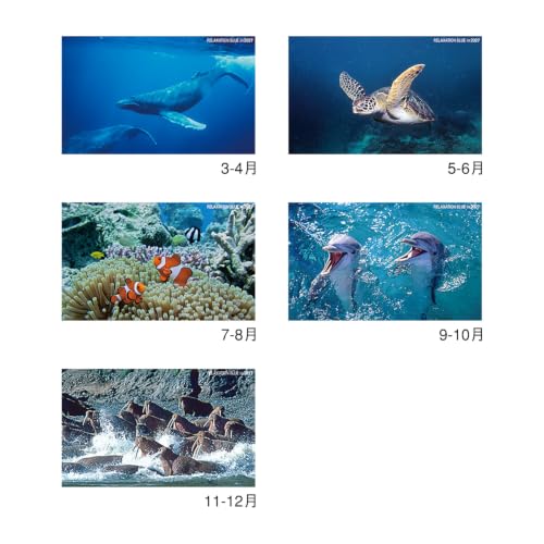 New Japan Calendar 2027 Wall Calendar Relaxation Blue NK32