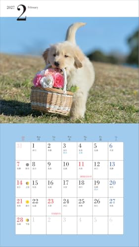 2027 Adorable Golden Retriever Calendar (Seibundo-shinkosha Calendar)