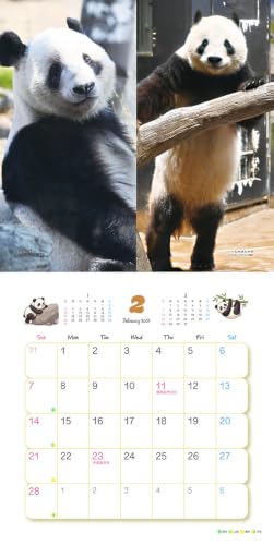 Try-X Xiang Xiang Xiaoxiao Lei Lei 2027 Wall Calendar 27CL-385 48 x 24cm