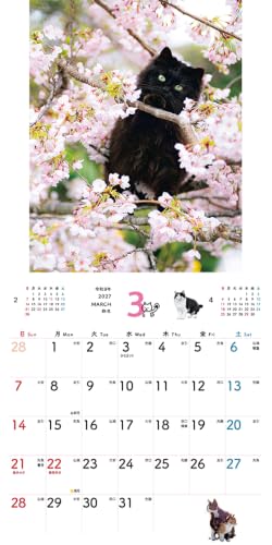 New Japan Calendar 2027 Wall Calendar Indigo Dye Monthly Calendar NK72