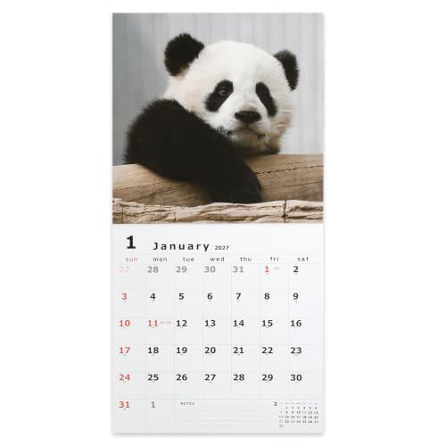 Noritsu NOLTY 2027 Desk Calendar 22 Modified B6 C223