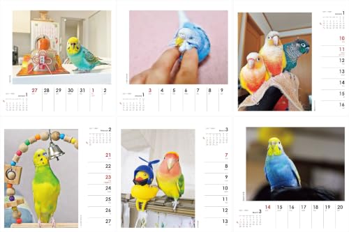Yama-kei Calendar 2027 Parakeet Days (Weekly Calendar / Desk / Ring)