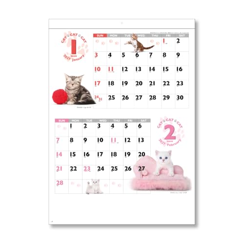 Eco Wall & Desk Calendar 2027 A5 E106
