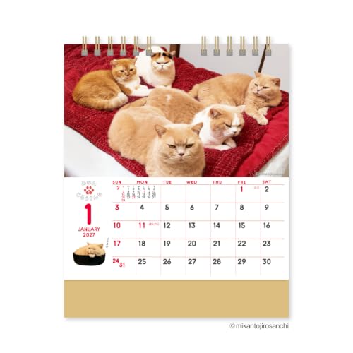 Eco Wall Calendar 2027 B4 (Monday Start) E72