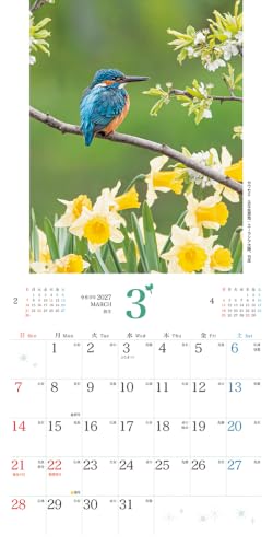 Takahashi 2027 Wall Calendar 2-Month View Double B4 Size E75