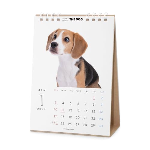 THE DOG 2027 Desk Calendar [Beagle]